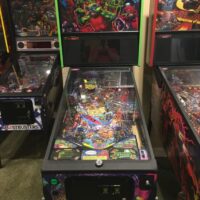 Teenage Mutant Ninja Turtles (LE)